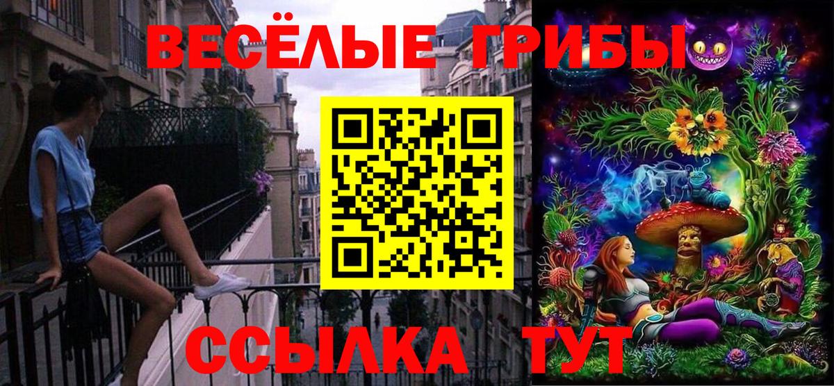 Псилоцибиновые грибы Тайшет