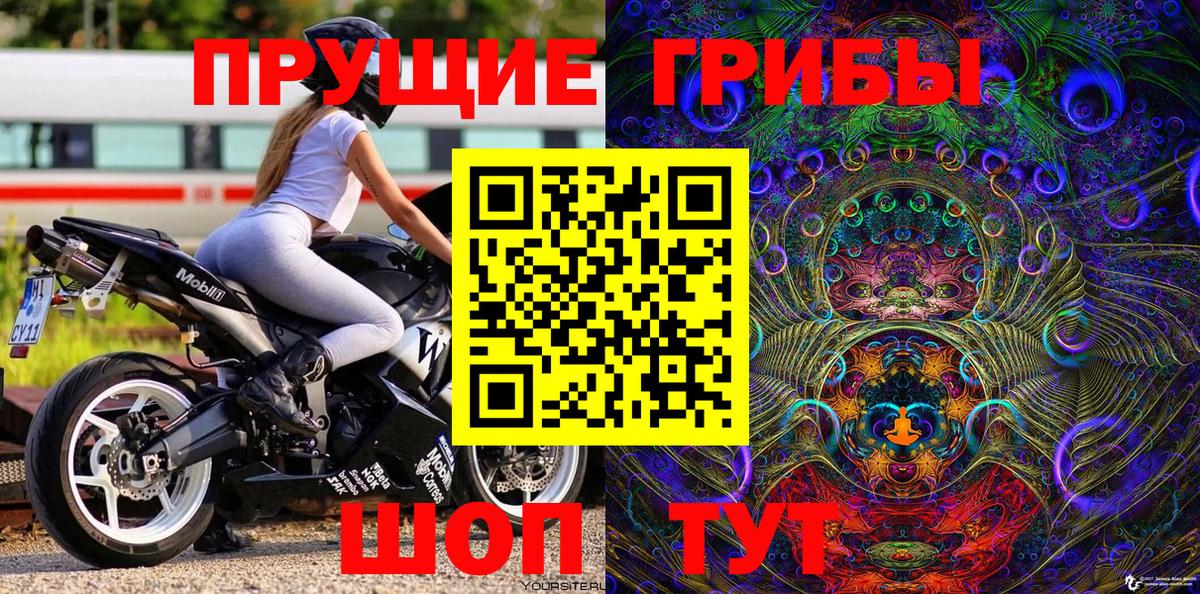 Тайшет  Галлюциногенные грибы ЛСД  Вход с VPN 